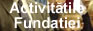Activitatile Fundatiei