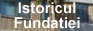 Istoricul Fundatiei