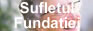 Sufletul Fundatiei